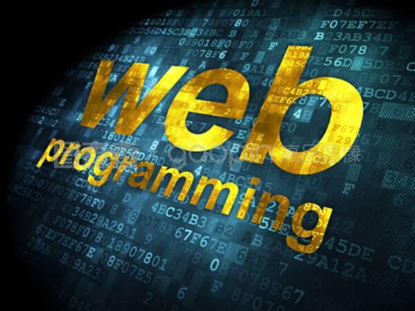 SEO优化在网络开发与网络编程中的关键作用及软件设计实践